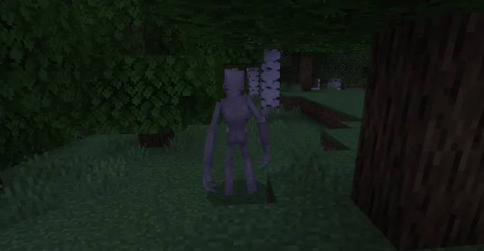 Скинуокер в лесу