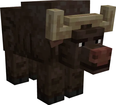 Африканский буйвол