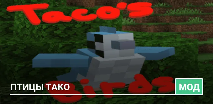 Мод: Птицы Тако