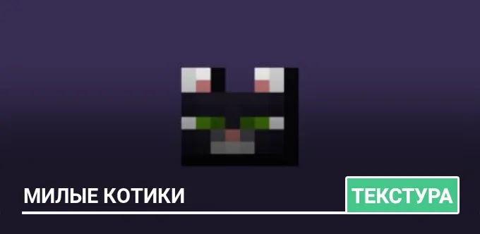 Текстуры: Милые котики