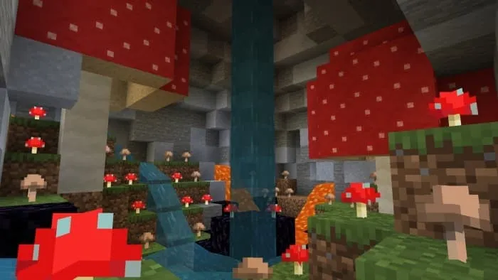 Сад из грибов в пещере