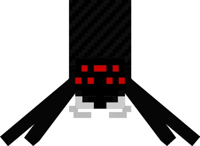 Паук спереди