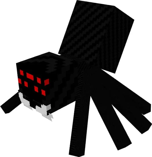 Паук с правого бока