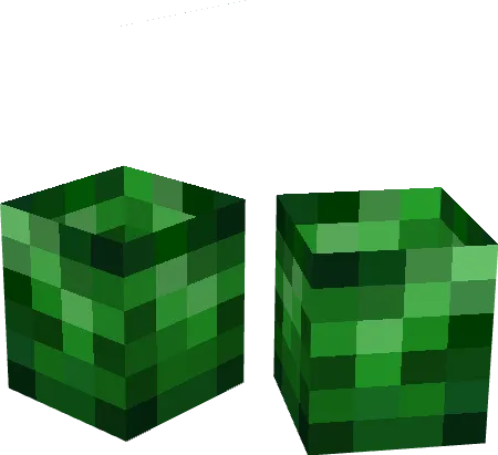 Вид изумрудных сапог