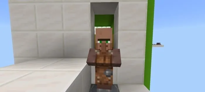 Житель посреди уровня