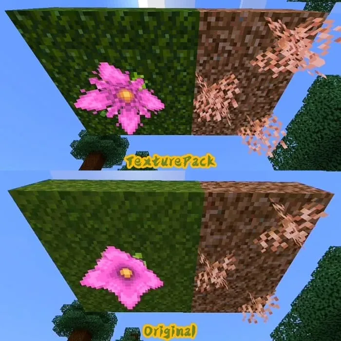 Трава и цветок