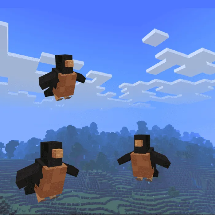 Птица робин