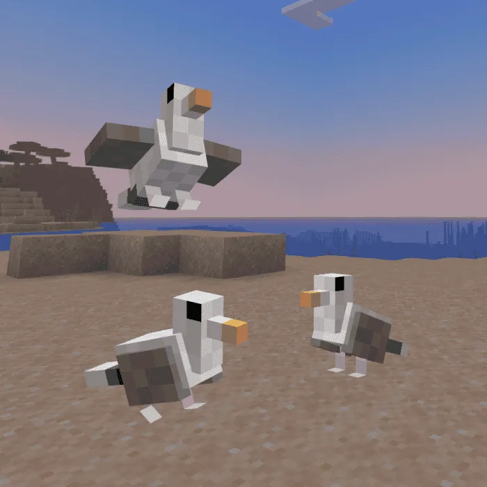 Чайки на пляже