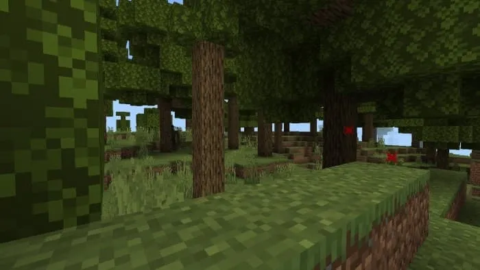 Деревья в лесу