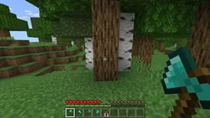 Дерево перед игроком