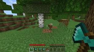 Упавшее дерево