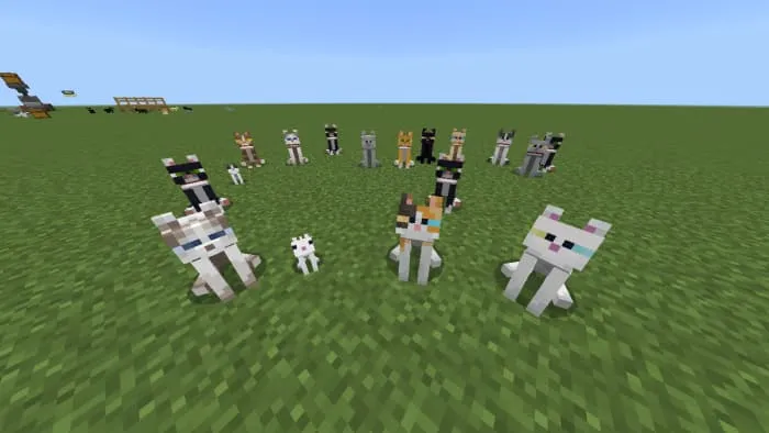 Милые котики