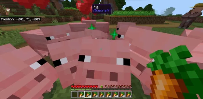 Игрок смотрит на свинью