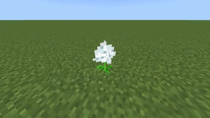 Белый цветок