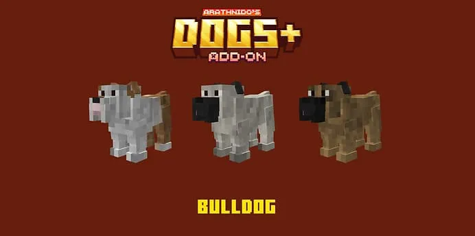 Варианты бульдога