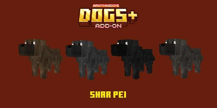 Варианты собаки шарпей