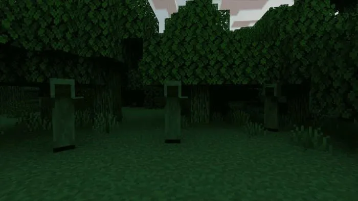 Члены культа в лесу