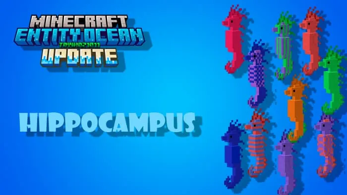 Морской конек и вариации