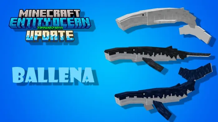 Описание кита