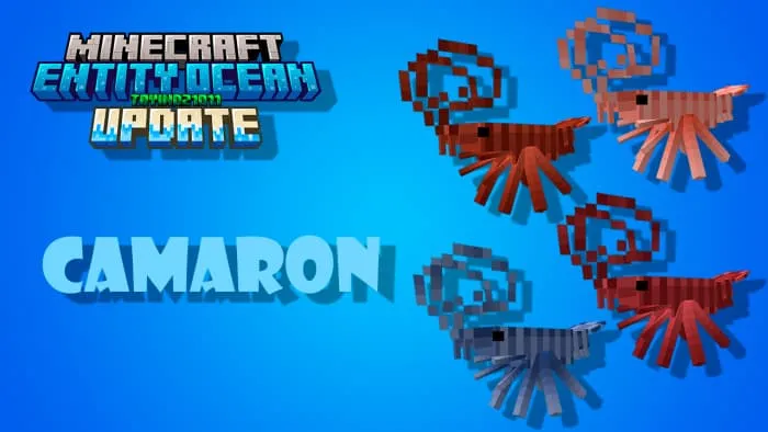 Виды креветок