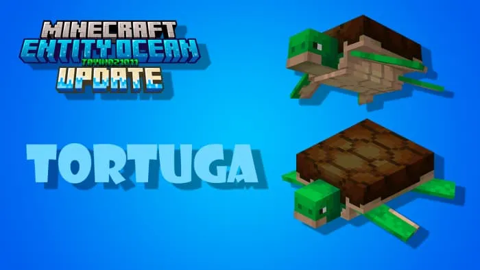 Черепаха в дополнении