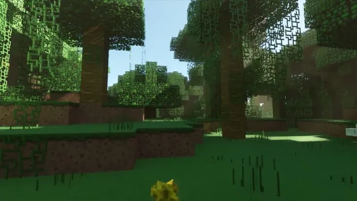 Красивые джунгли