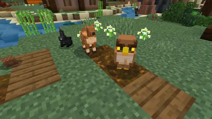 Кролик, олень и сова