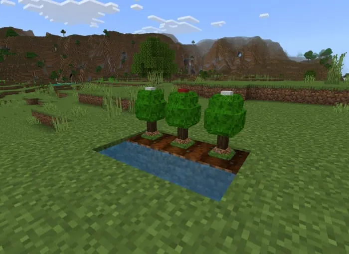 Выращивание покеболов