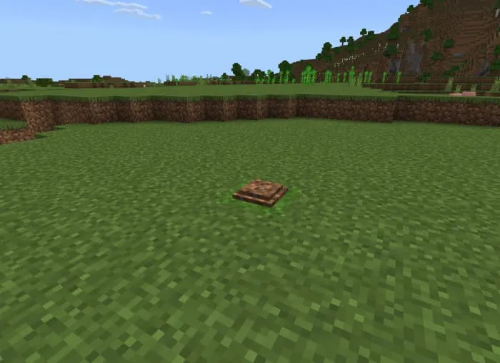 Вид места раскопок