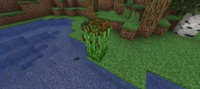 Рогоза у реки