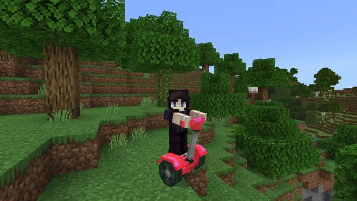 Вид сегвея спереди