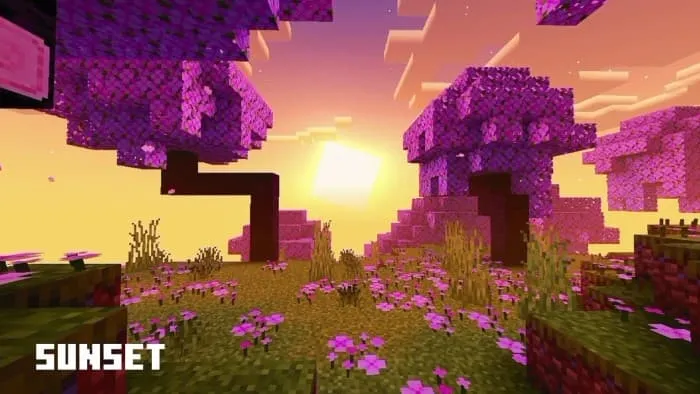 Закат в Вишнёвой роще