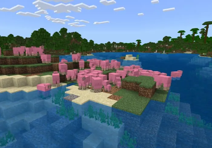 Розовые овцы в мире