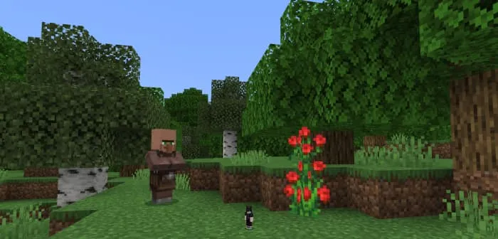 Вид от 3-го лица