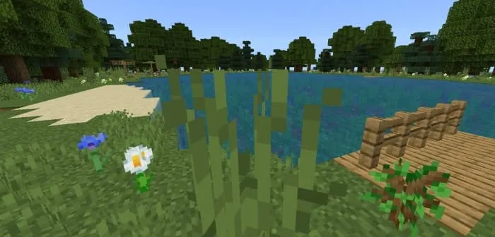 Озеро и пристань в деревне