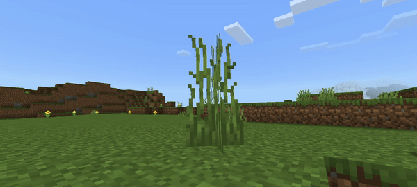 Движение травы на ветру