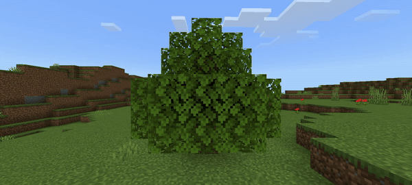 Движение листвы на ветру