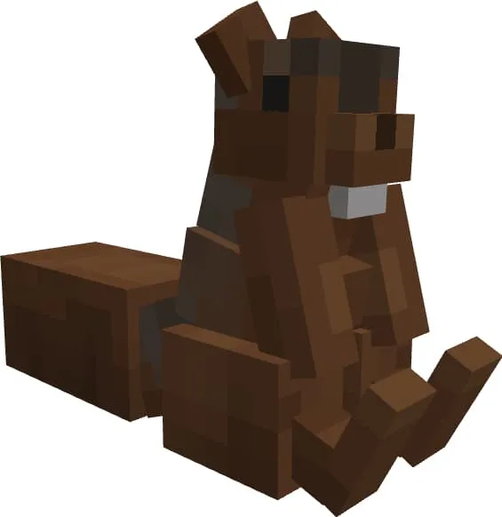 Дикая белка