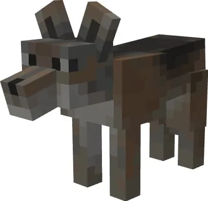 Дикая собака