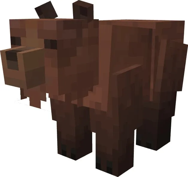 Дикий бурый медведь