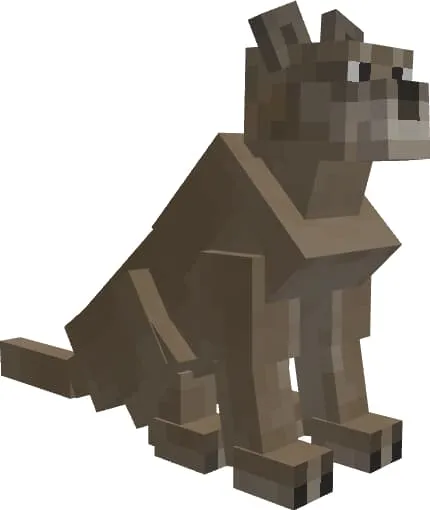 Дикая кошка