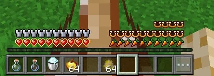 Измененные сердца лошади