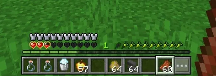 Полоска голода