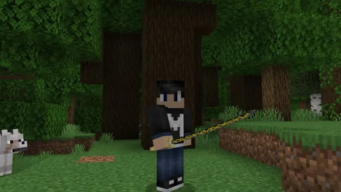 Катана ничирин Зеницу Агацума от третьего лица