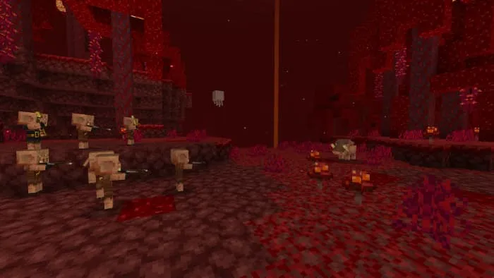 Младенец пиглин