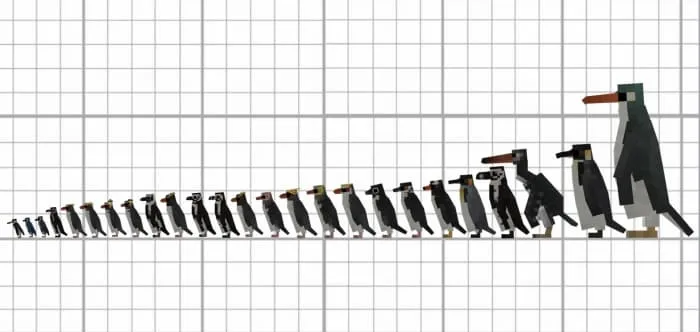 Все виды пингвинов