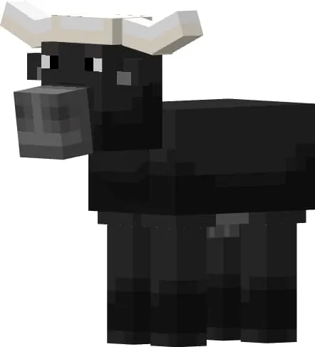 Самка африканского буйвола