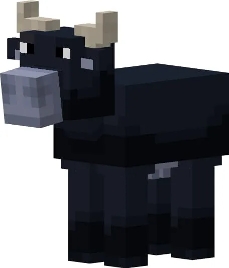 Самка буйвола