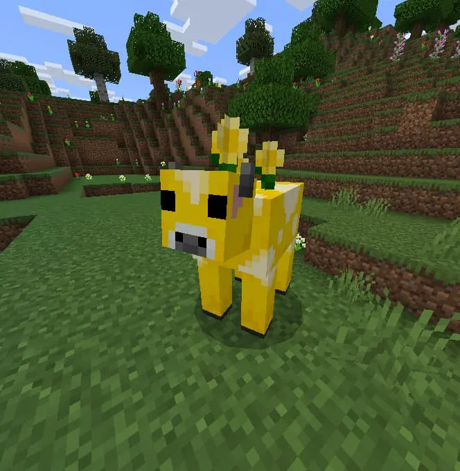 Корова короцвет