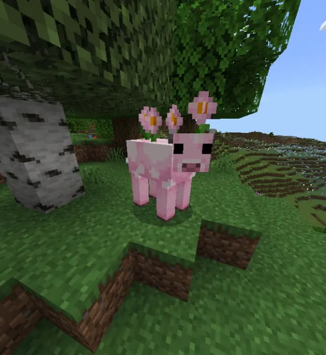 Вариант коровы мульпан